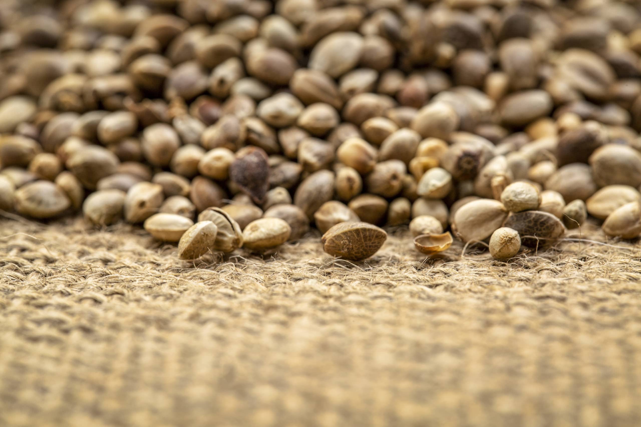 unihemp